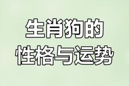 1982的狗是什么命 五行属什么 1982年属狗五行属什么命运解析与运势指南