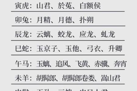 野草丛生是什么生肖(野草丛生是什么生肖准确的答案)