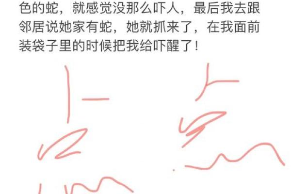 梦到蛇 解梦 梦到蛇 解梦