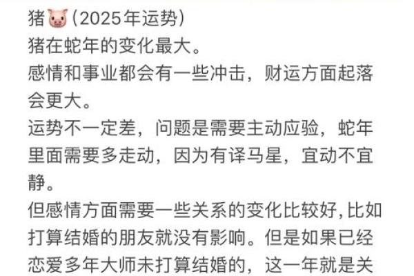 1971年2025年属猪人的全年运势 2025属猪血光之灾