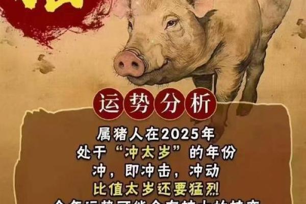 2025属猪人全年运势如何 2025年属猪人全年运势详解财运事业感情全解析
