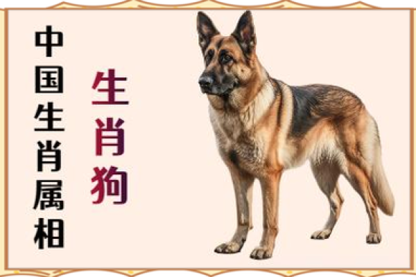 2006年属狗男孩一生命运 2006年属狗18岁有一灾 2006年属狗男孩一生命运 2006年属狗18岁有一灾