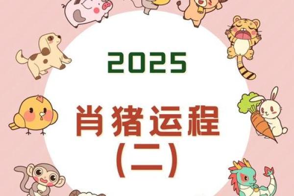 2025猪年运势及运程 2025猪年运势详解全年运程预测与开运指南 2025猪年运势及运程 2025猪年运势详解全年运程预测与开运指南