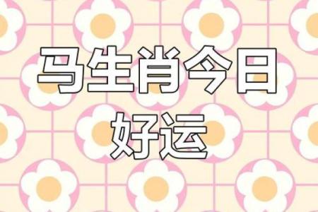 1990年属马2024年运势 1990年属马2024年运势完整版