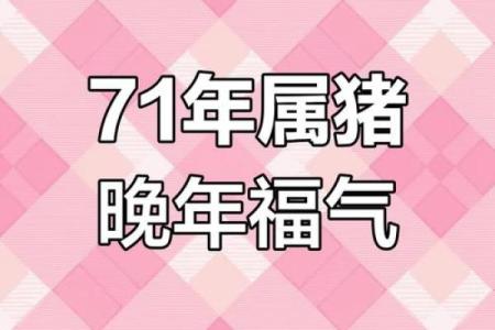 属猪53岁有个大灾 属猪53岁有个大灾2024