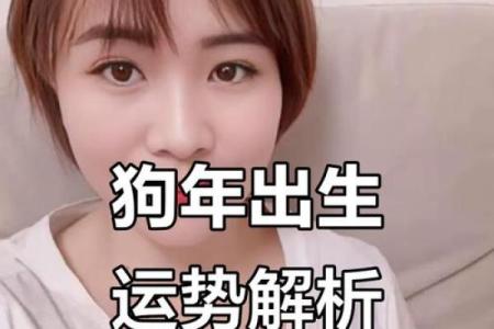 2025属狗人的运势_2025年属狗人运势详解财运事业感情全解析
