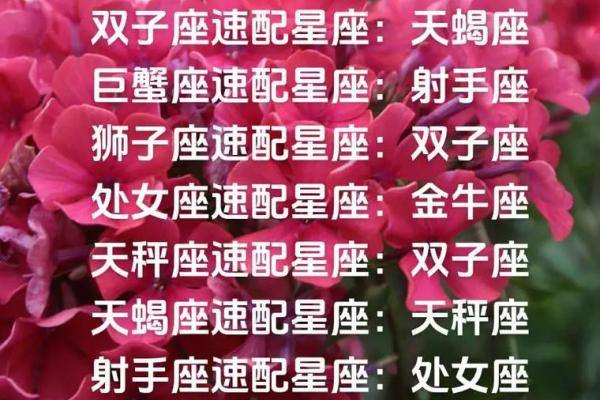 速配星座是什么意思,今日运势速配星座是什么意思