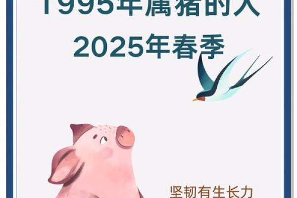 2025年属猪的几月结婚最佳 95年属猪的最佳配偶 2025年属猪的几月结婚最佳 95年属猪的最佳配偶