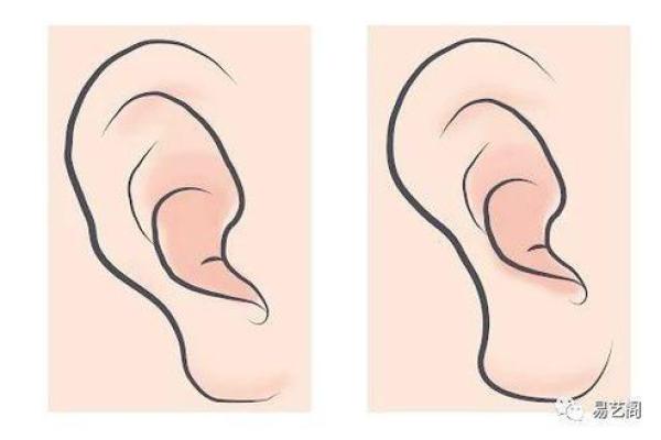 风水天生耳朵小的人运势 风水天生耳朵小的人运势