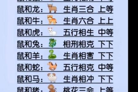 99年属兔女的最佳结婚年龄,1999年属兔婚配男人