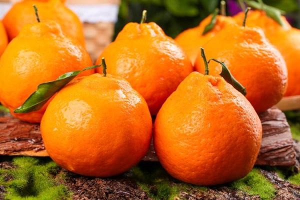 风水上供最好的8种水果有哪些可以选择