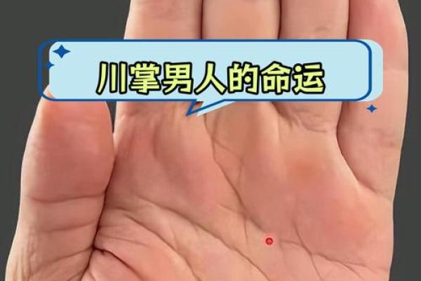 风水川字掌手相男人的命运解析 风水川字掌手相男人的命运解析