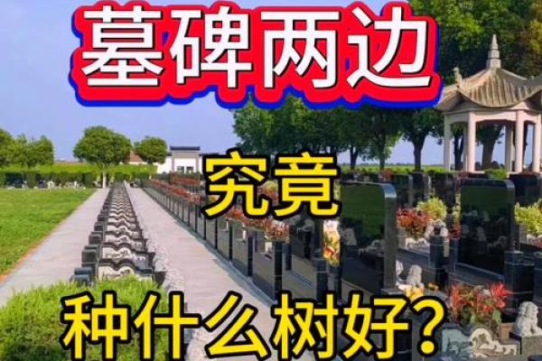 房子里面有墓室风水好吗