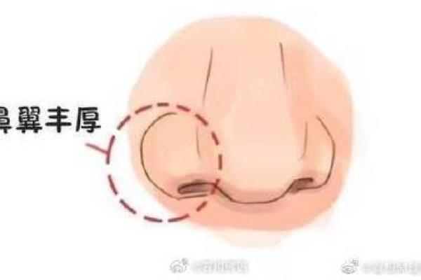 面相风水鼻头大的男人好不好是长寿命吗