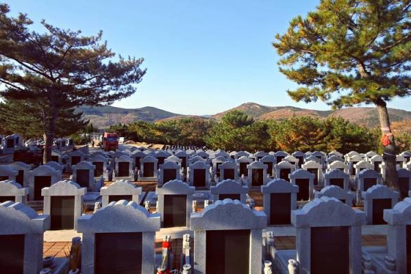 大连好风水攻略 大连好风水攻略