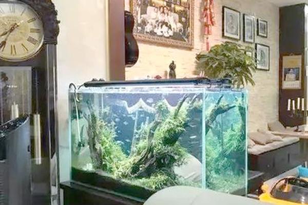 鱼缸与风水禁忌 这些摆放位置要注意
