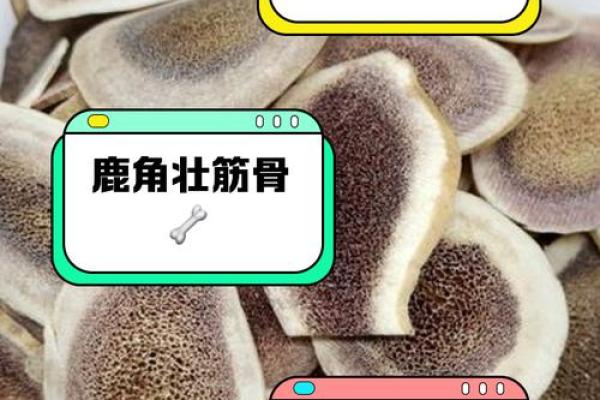 鹿角的风水 鹿角的风水