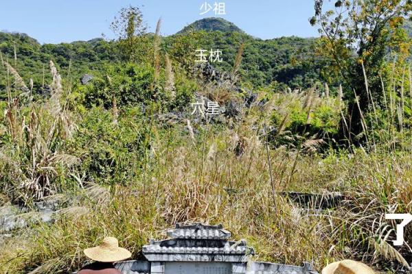 城市风水_别人的祖坟要葬在我家地里 城市风水_别人的祖坟要葬在我家地里