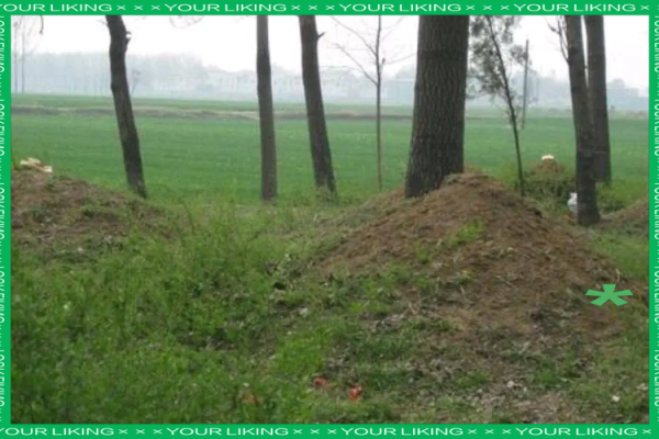 请风水先生看坟地需要注意什么 请风水先生看坟地需要注意什么