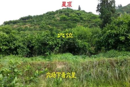 城市风水_别人的祖坟要葬在我家地里