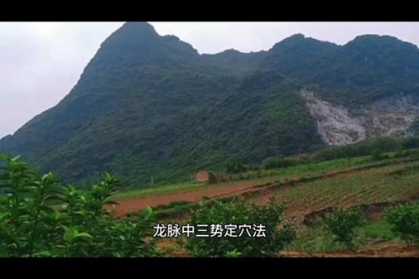 风水学揭秘,寻龙诀口诀是什么 风水学揭秘,寻龙诀口诀是什么