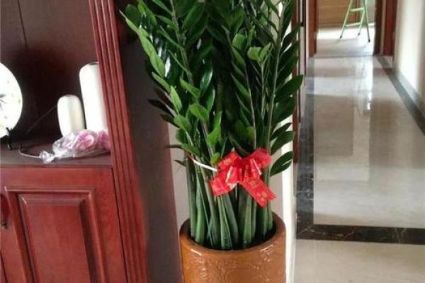 家里摆放假花会影响风水吗 家里摆放假花会影响风水吗