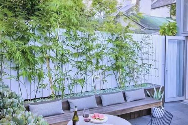 房子旁边竹子风水