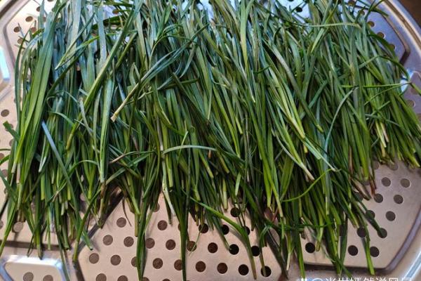 风水院子_韭菜种在院子有甚么寓意 风水院子_韭菜种在院子有甚么寓意