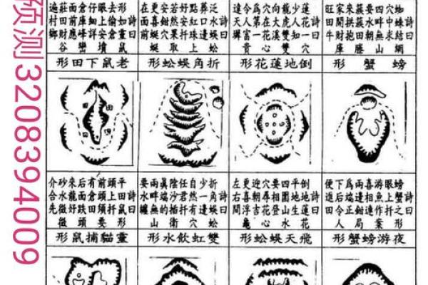 五行风水_杨梓煊这个名字好吗
