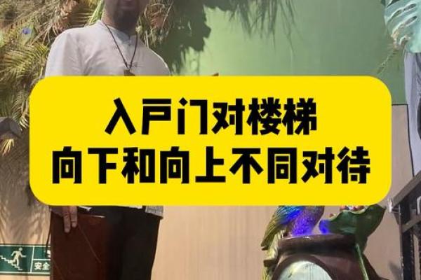 房子像梯子形壮的风水