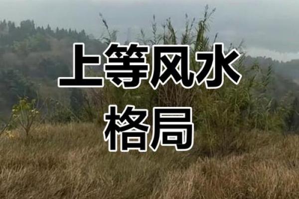 看风水宝地 看风水宝地