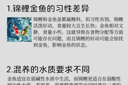 金鱼怎么养？养金鱼需要注意的风水