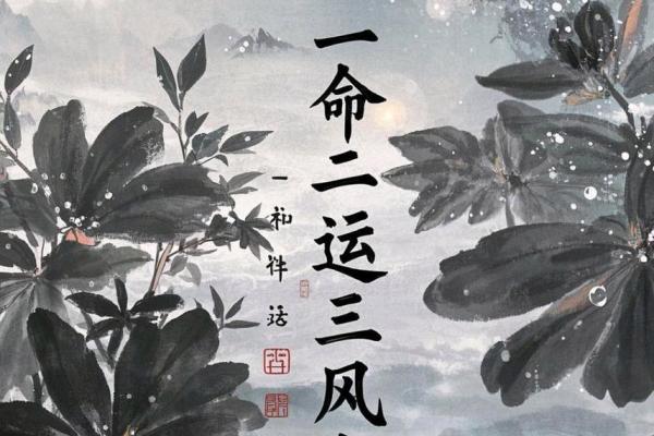 如何风水_一命二运三风水 如何风水_一命二运三风水