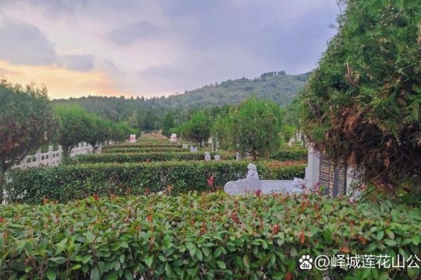 什么样的墓地风水最好