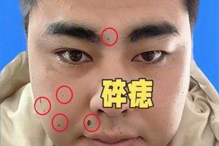 风水解读狐狸眼睛的女人面相怎么样