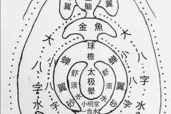 风水点穴_青蛙捕食穴应点在什么地方 风水点穴_青蛙捕食穴应点在什么地方