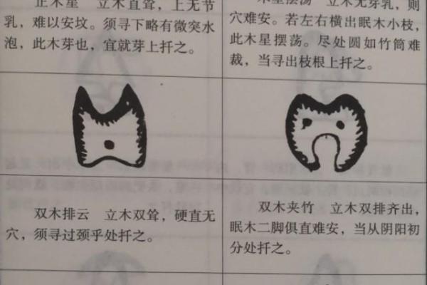 风水点穴_青蛙捕食穴应点在什么地方 风水点穴_青蛙捕食穴应点在什么地方