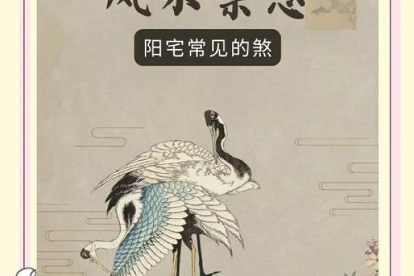 代代出大官的阳宅风水有什么讲究