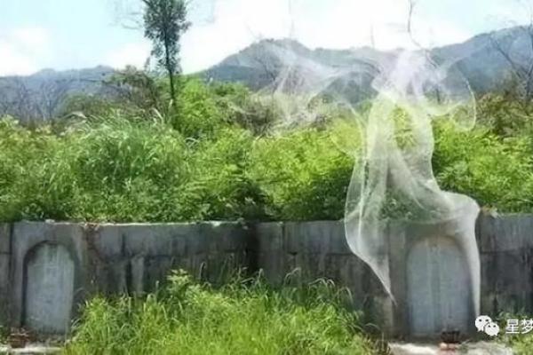 容易出贵人的坟墓风水特征 容易出贵人的坟墓风水特征