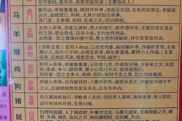 哪个生肖不宜养龟风水