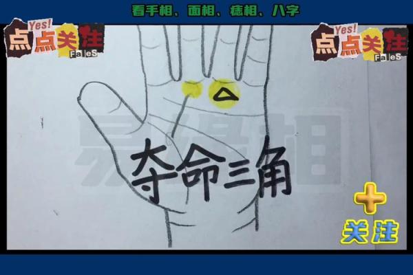 生命线上有三角纹是好兆头吗手相风水