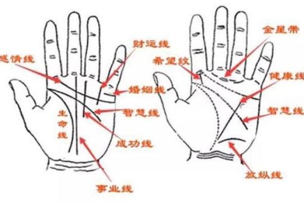 生命线上有三角纹是好兆头吗手相风水