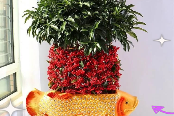 风水什么花招财又旺宅好养吉祥植物 风水什么花招财又旺宅好养吉祥植物