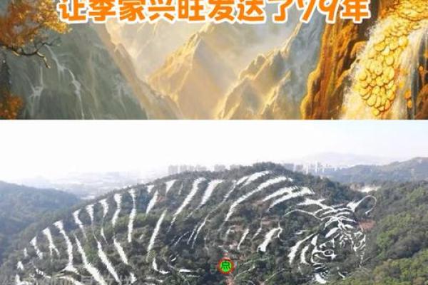 怎么看农村祖坟风水宝地的要求