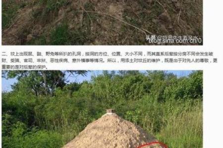 墓地本身会出现的15种风水问题