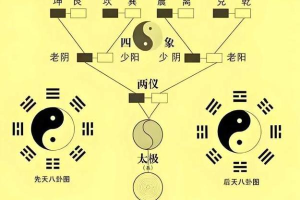 八卦风水_易经应该怎么自学 八卦风水_易经应该怎么自学