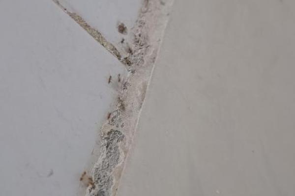 解读下雨天搬家好不好风水会有影响吗