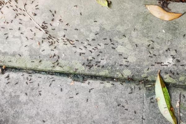 解读下雨天搬家好不好风水会有影响吗