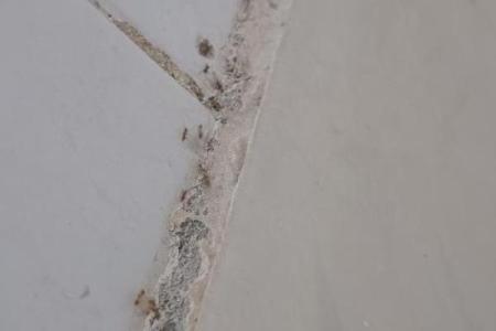 解读下雨天搬家好不好风水会有影响吗