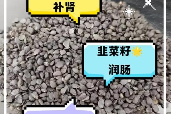 菜籽的风水作用